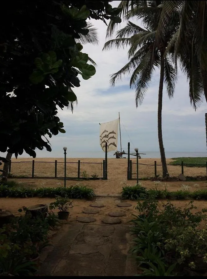 Hotel Silver Sands Negombo Guest house